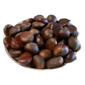 Fresh chestnut for roasted chestnuts not chestnut peeling machine