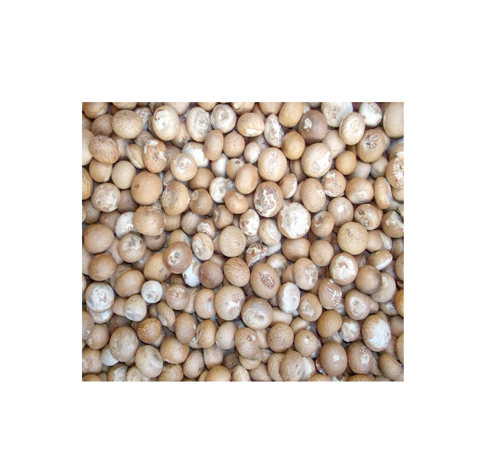 Высококачественный продукт бренда Betel Nut Supply из Таиланда крупный экспортный рынок