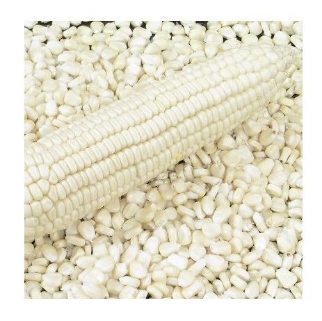 Белый Non GMO желтый и белый кукурузы Цена со скидкой