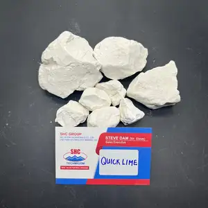 Quicklime Lumps Quick Lime CaO Powder Low Price High Calcium Quicklime Burnt lime For Flue Gas Treatment