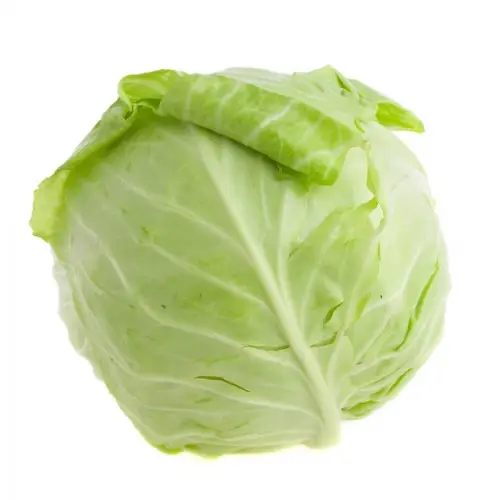 Fresh cabbage vegetables for sale at wholesale prices.
