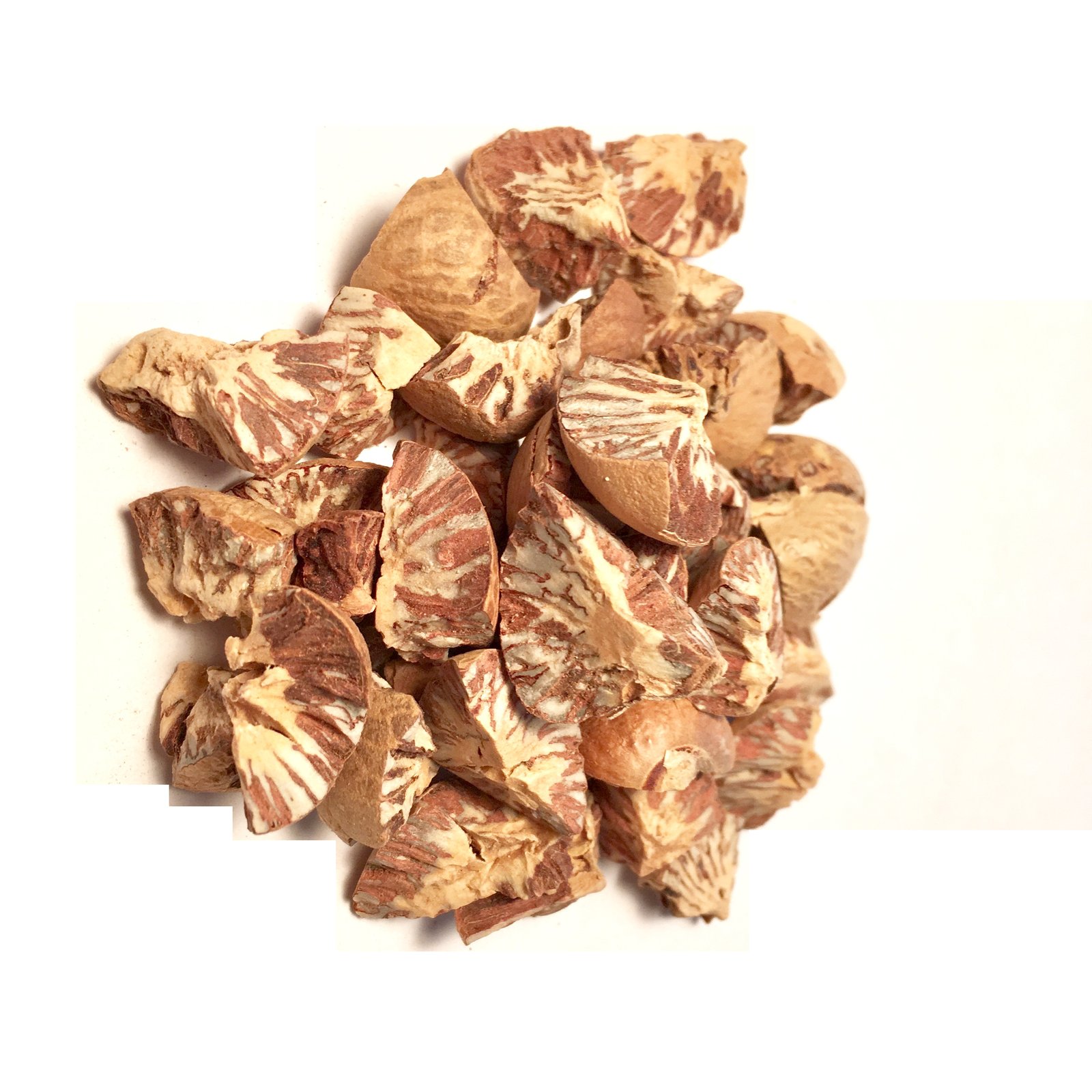 High Quality Whole Dried Betel Nuts Areca Nuts for Wholesale Max Bag