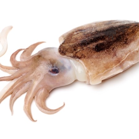 Frozen Baby Cuttle Fish whole/whole clean