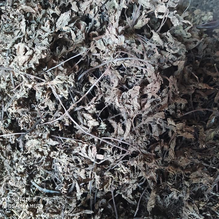 Вкус, оригинальное качество, Сертификат ISO, здоровая трава, желе, сушеная трава, желе, Мезон, китайский хунтам ВН из Вьетнама