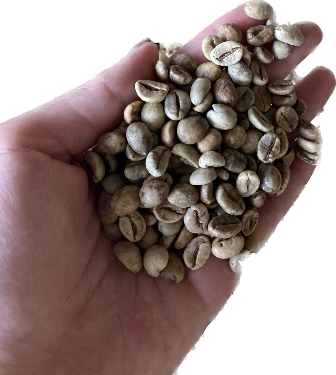 Вьетнамский КОФЕ ROBUSTA/WA 0084 848 337 448