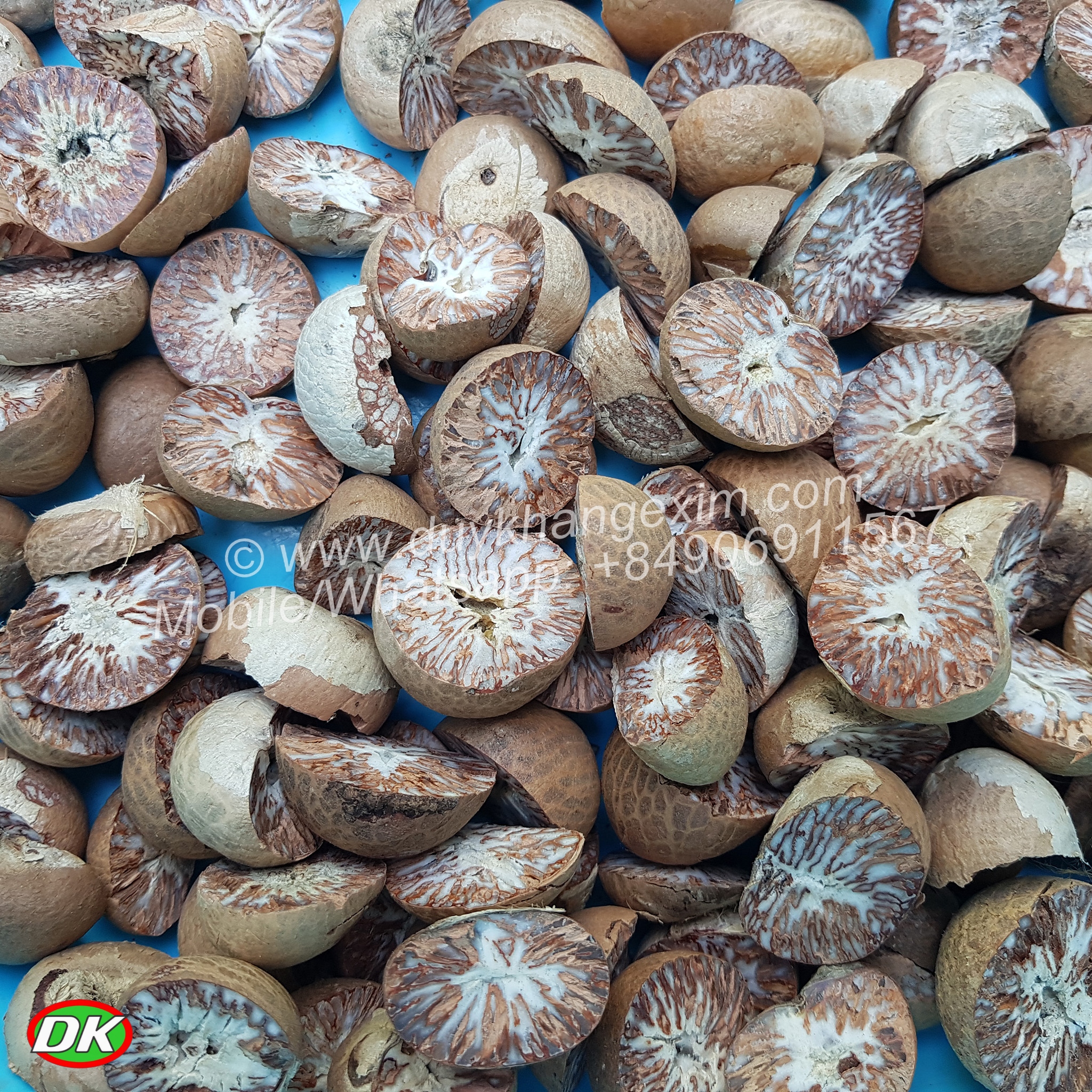 Полностью белый BETEL NUT (Самая низкая цена от завода) * WhatsApp No + 84906911567