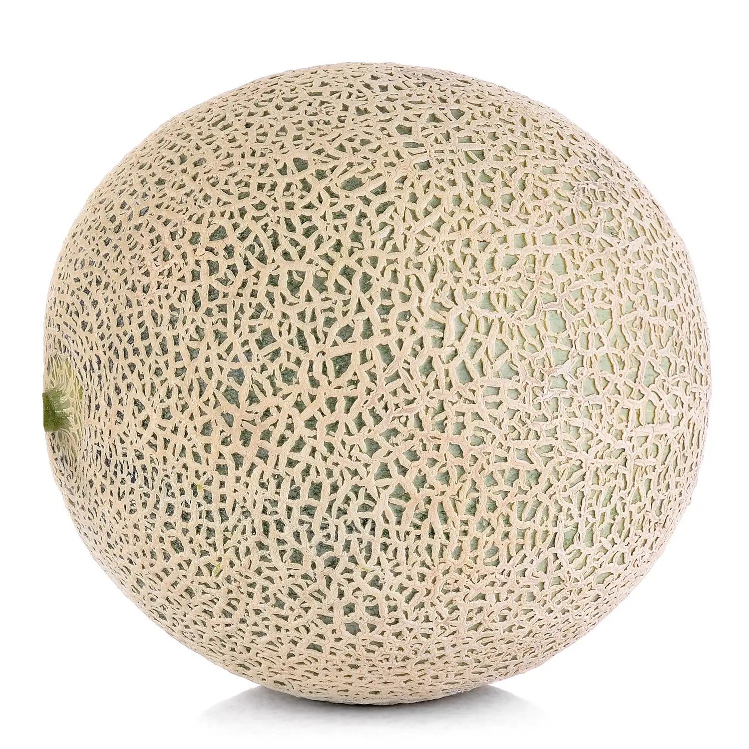 Hot sell Export of Fresh Cantaloupe - Cantaloupe sweet melon seed - LC/TT at sight - from South Africa