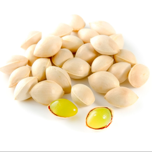 Japanese Ginko Nut Ginnan