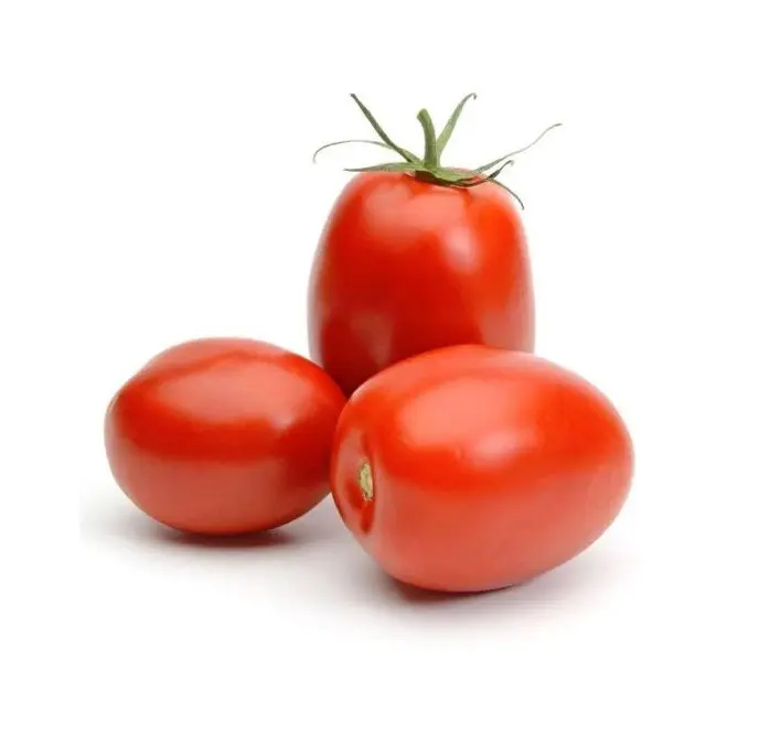 Organic 100% High Quality Fresh Red Tomato For Sale Export Oriented Wholesale Cheap Price Fresh Tomatoes From Bangladesh