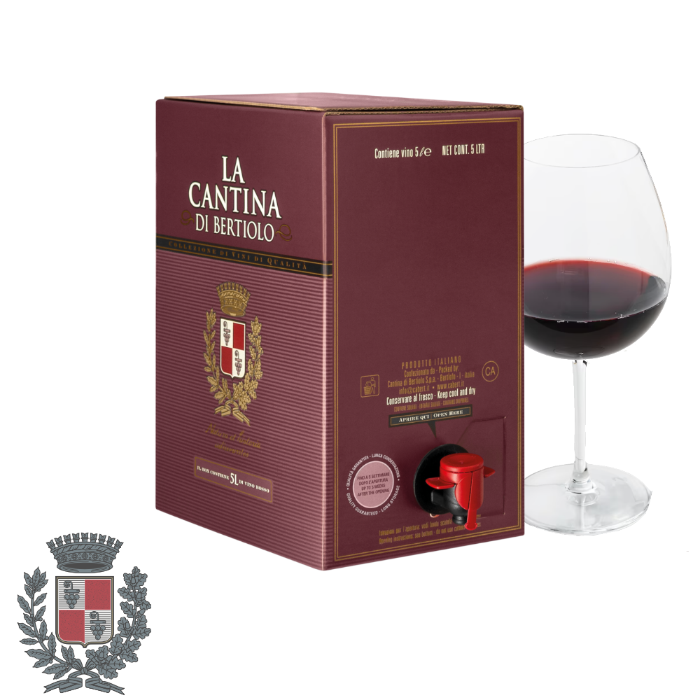 Красное вино CABERNET из Италии, пакет в коробке, 5 литров спирта, 12% алкоголя, легкое питье, отличное качество