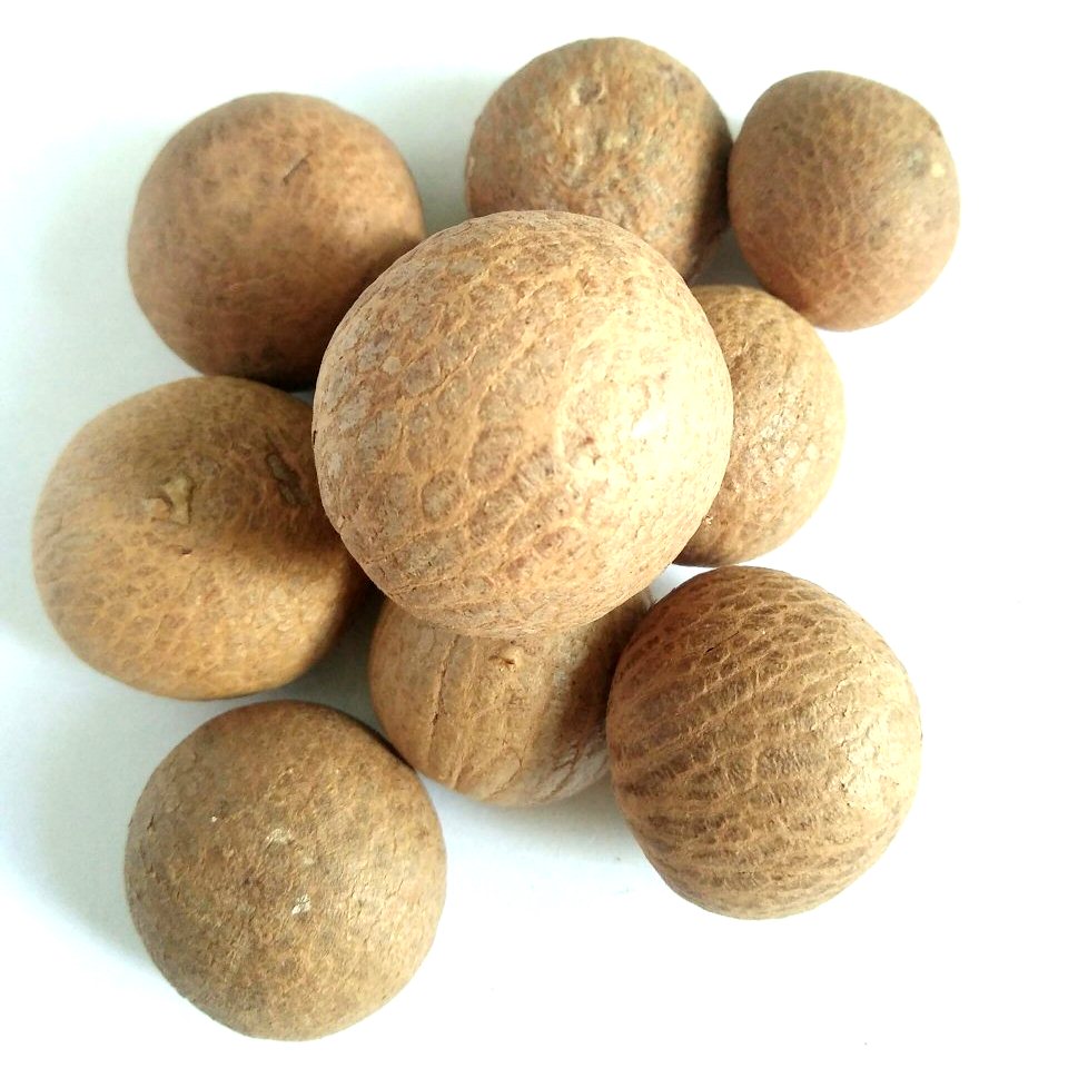 High Quality Whole Dried Betel Nuts Areca Nuts for Wholesale Max Bag