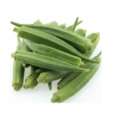 Wholesale Supplier Of Bulk Fresh Stock of Fresh Vegetables Okra