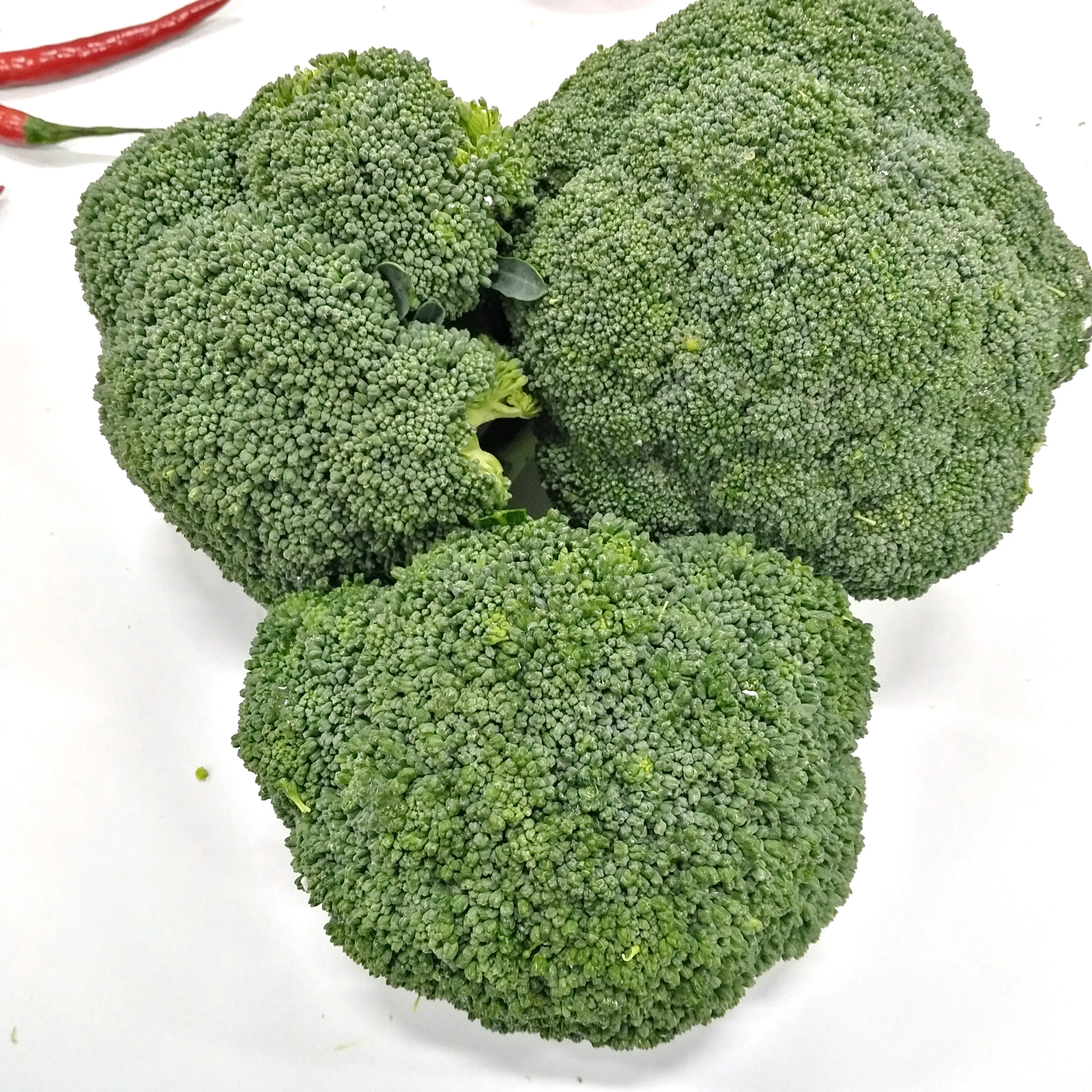 Buy Fresh/Frozen Green Broccoli For Sales Worldwide