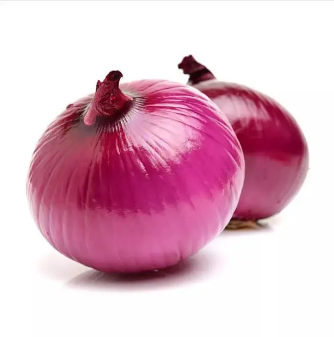 Factory Sale Price Organic Fresh Red Onion