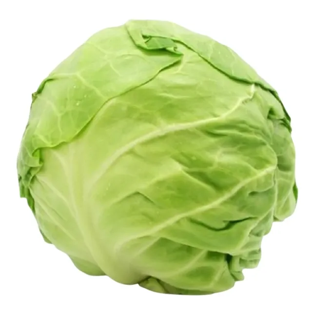 HIGH QUALITY FRESH GREEN CABBAGE WITH BEST PRICE