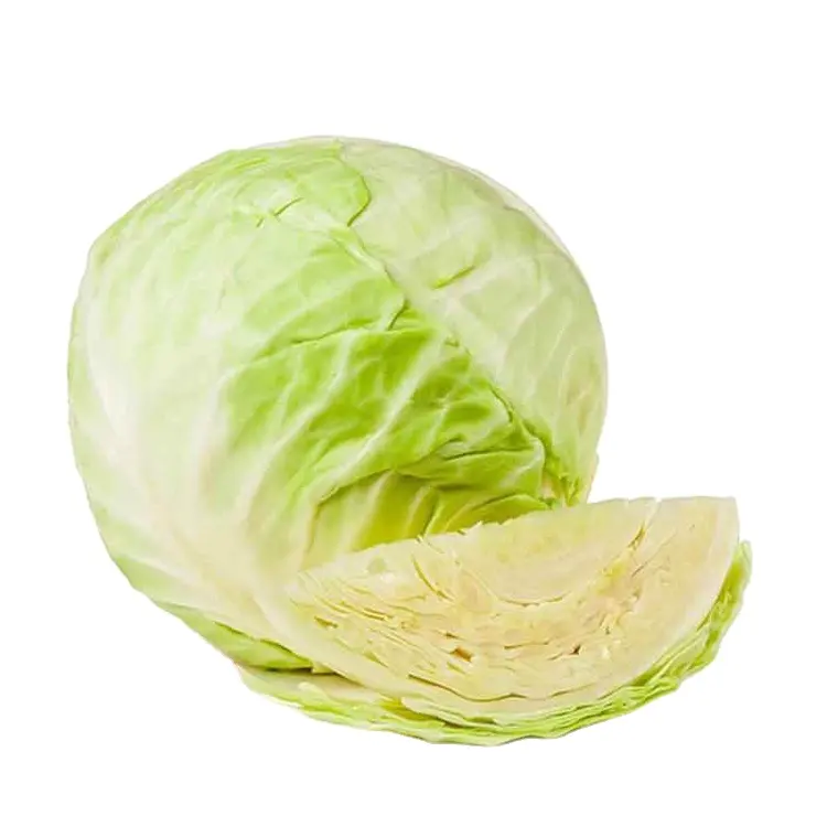 Wholesale Fresh cabbages