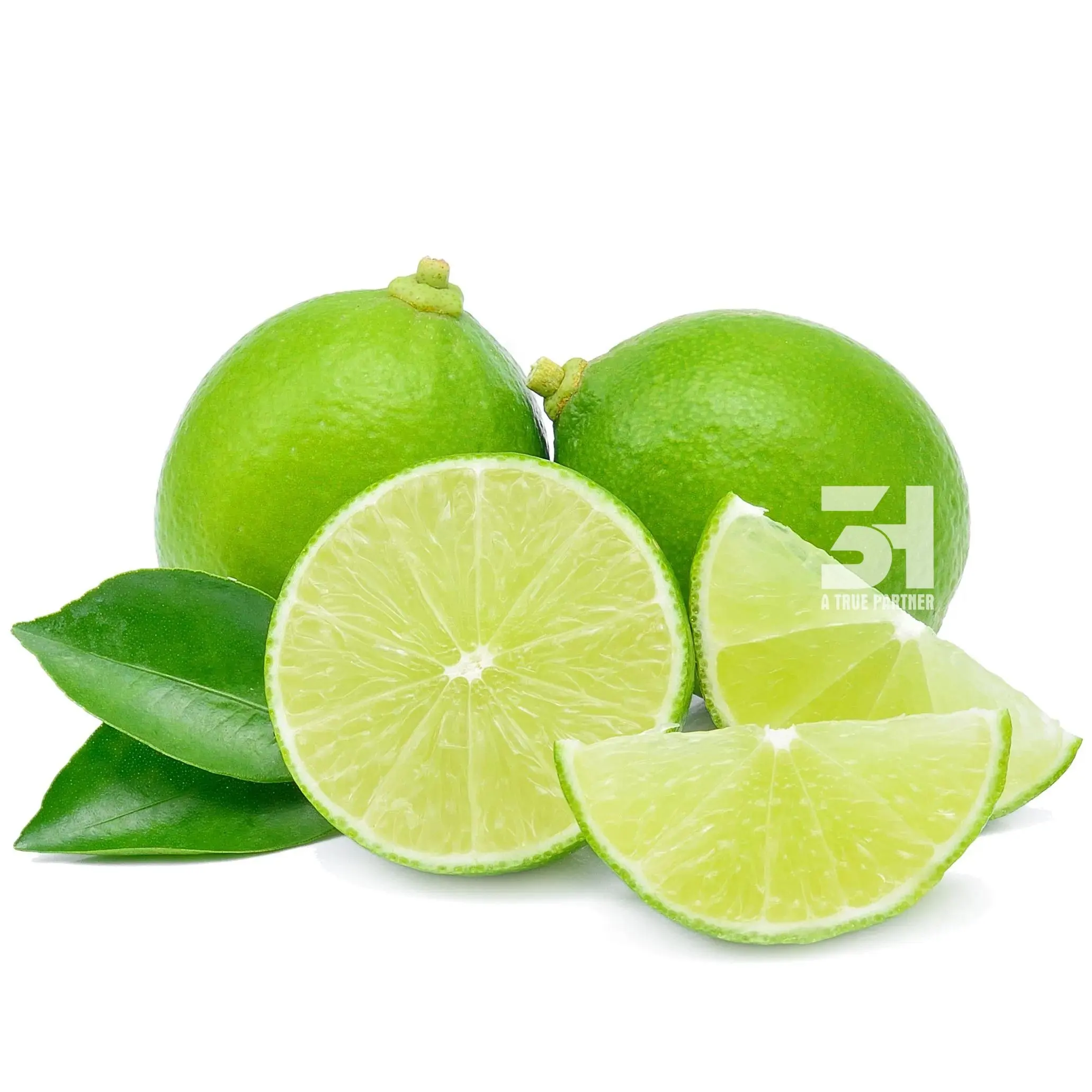 Hot Selling Seedless Lime/Lemon In Bulk Low Price And High Grade 100% Organic
