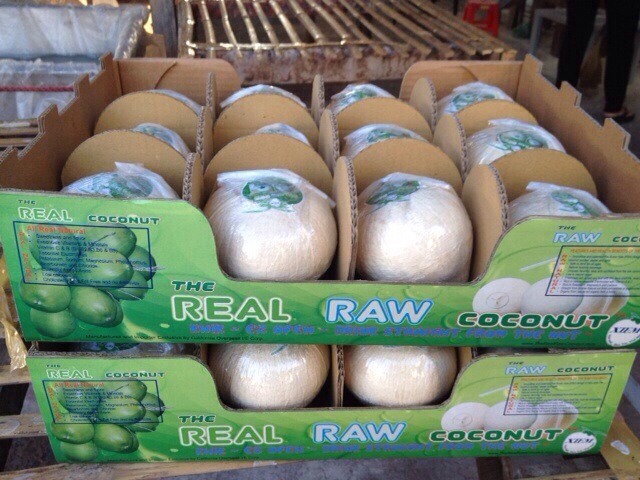 FRESH COCONUT RING PULL// EASY OPEN LID COCONUT -FROM VIETNAM