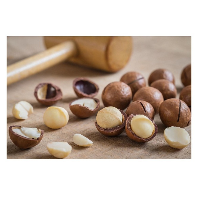 Macadamia Nuts Without Shell from Brazil