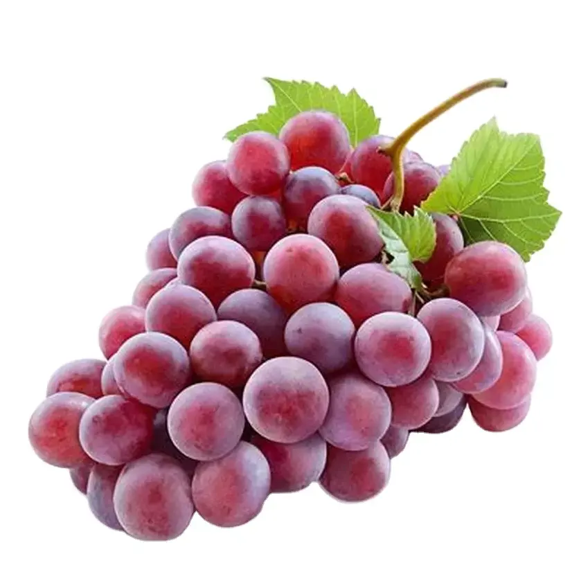 Nice Taste New Crop Red Grapes Fruits