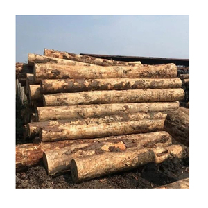 Timber Sawn Wooden Logs Material that Sells like Hot Cakes Pine Spruce Birch Oak Ash Logs/Timber and Eucalyptus Crude Wood
