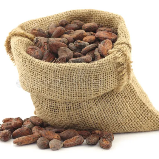 Buy Dried Cocoa Beans in 50kg bags Organic Roasted Cacao Beans