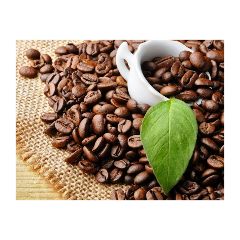 Вьетнамские жареные кофейные зерна Robusta-экспорт зеленого кофе