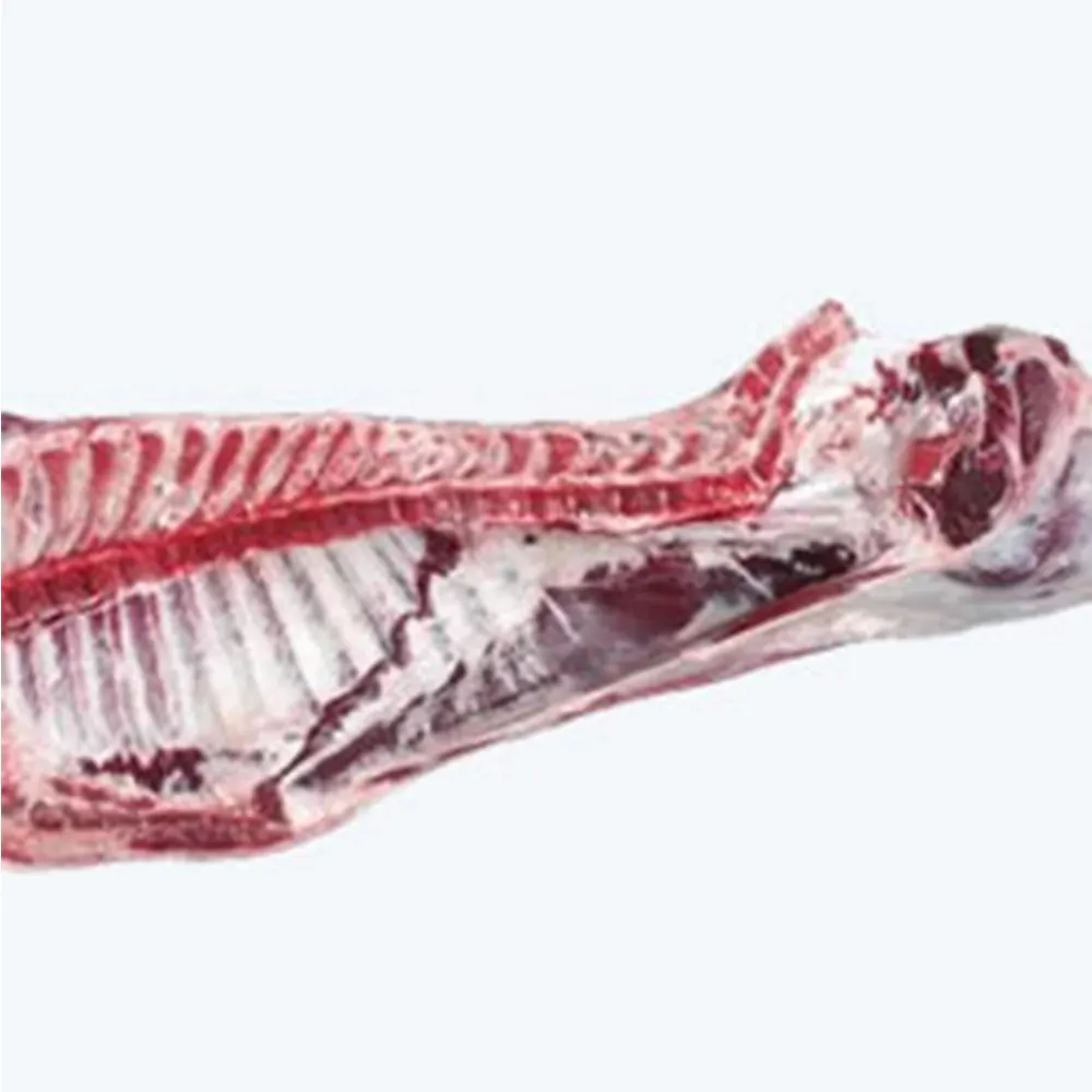 Trusted Supplier Selling High Quality Halal Frozen Beef Carcass at Competitive Market Price