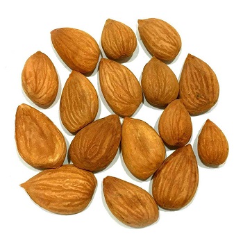 dried apricot, apricot kernels, bitter and sweet apricot kernel