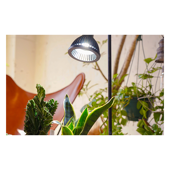 Fine Quality Low Cost Plant Growth Light NEO Amateras 20W Greenhouse LED Floor Lamp