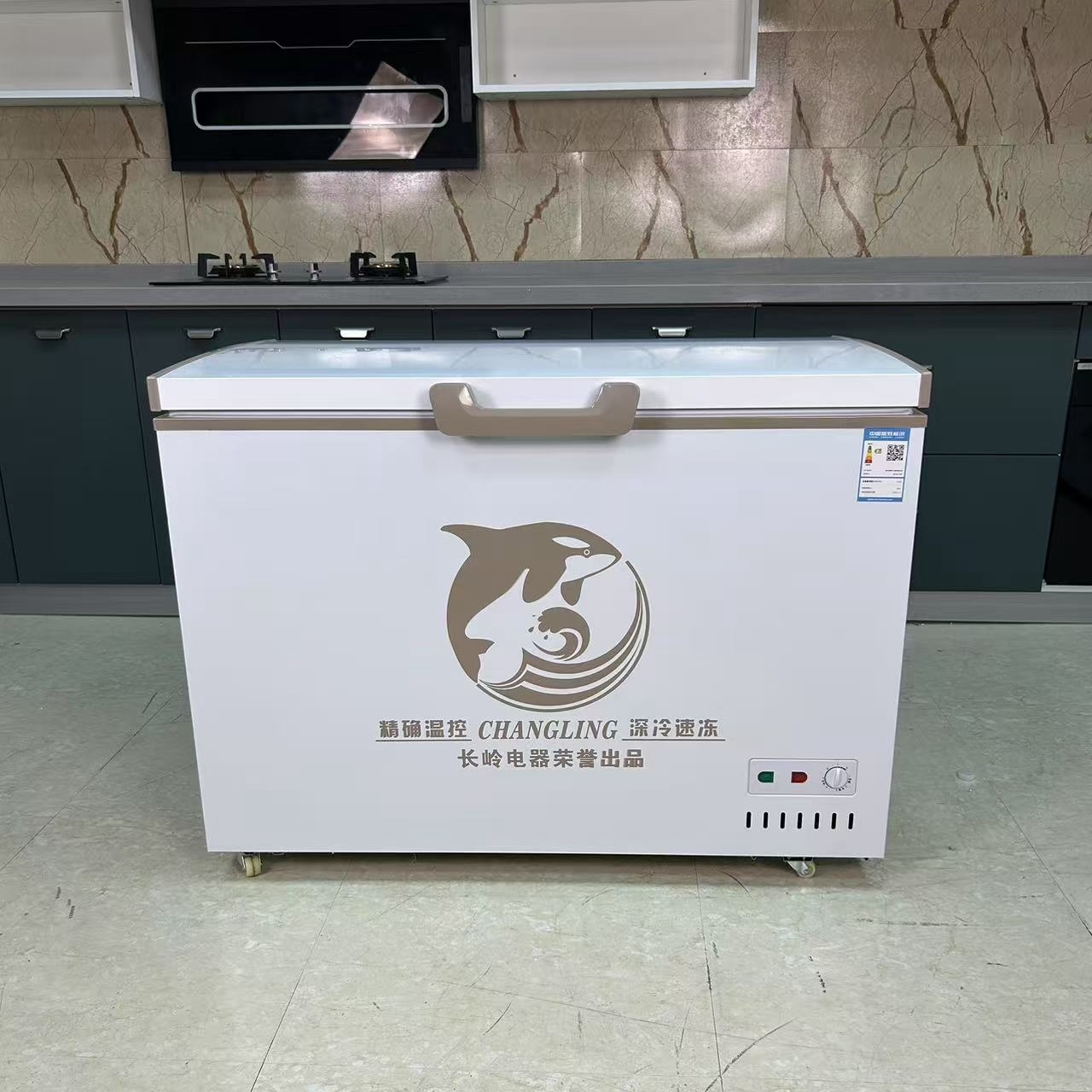 Single-Temperature Horizontal Freezer for Display in Commercial Kitchen Direct Cooling Refrigerator Equipment