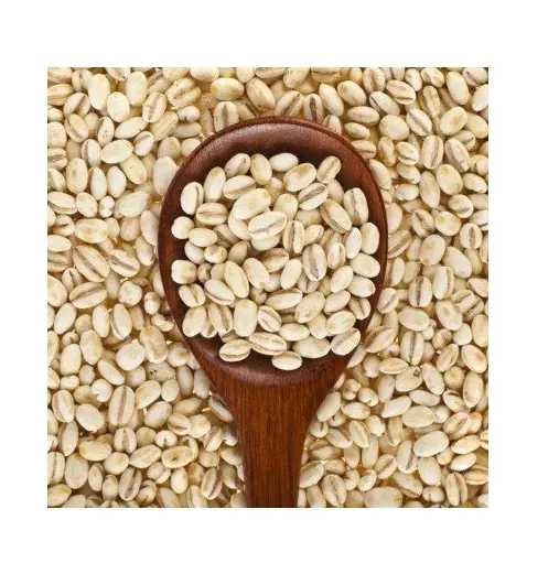 Barley for Sale, Feed Barley and Barley Seeds for sale, High quality Barley Grains for animal feed