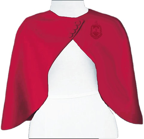Винтажная Толстая шерстяная шаль на заказ Delta Sigma Theta DST