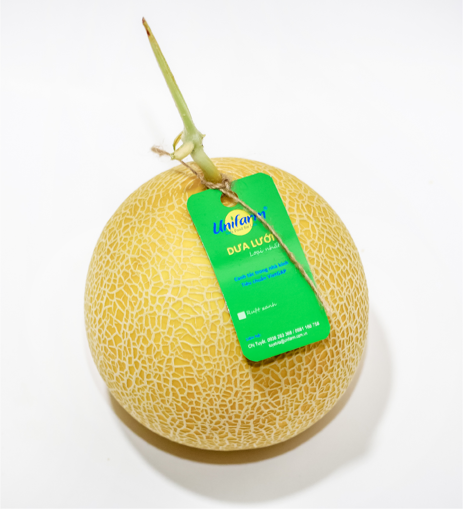 Свежая Дыня Honeydew для продажи, Свежий фрукт японского типа канталупа, сделано во Вьетнаме