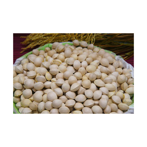 Sales Best Selling Ginkgo Nuts Fresh Raw Ginkgo Nuts Medical BULK Style Packaging Color Material Natural half opened sales