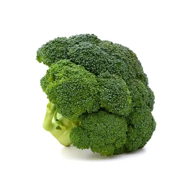 Direct Factory Wholesale Cheap Price Fresh Place Model Maturity Cultivation Broccoli Frozen Vegetable Broccoli From Bangladesh
