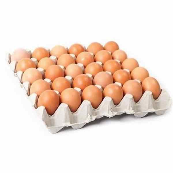 Broiler Hatching Eggs Cobb 500 and Ross 308 / chicken ross / broiler chicken eggs for sale.