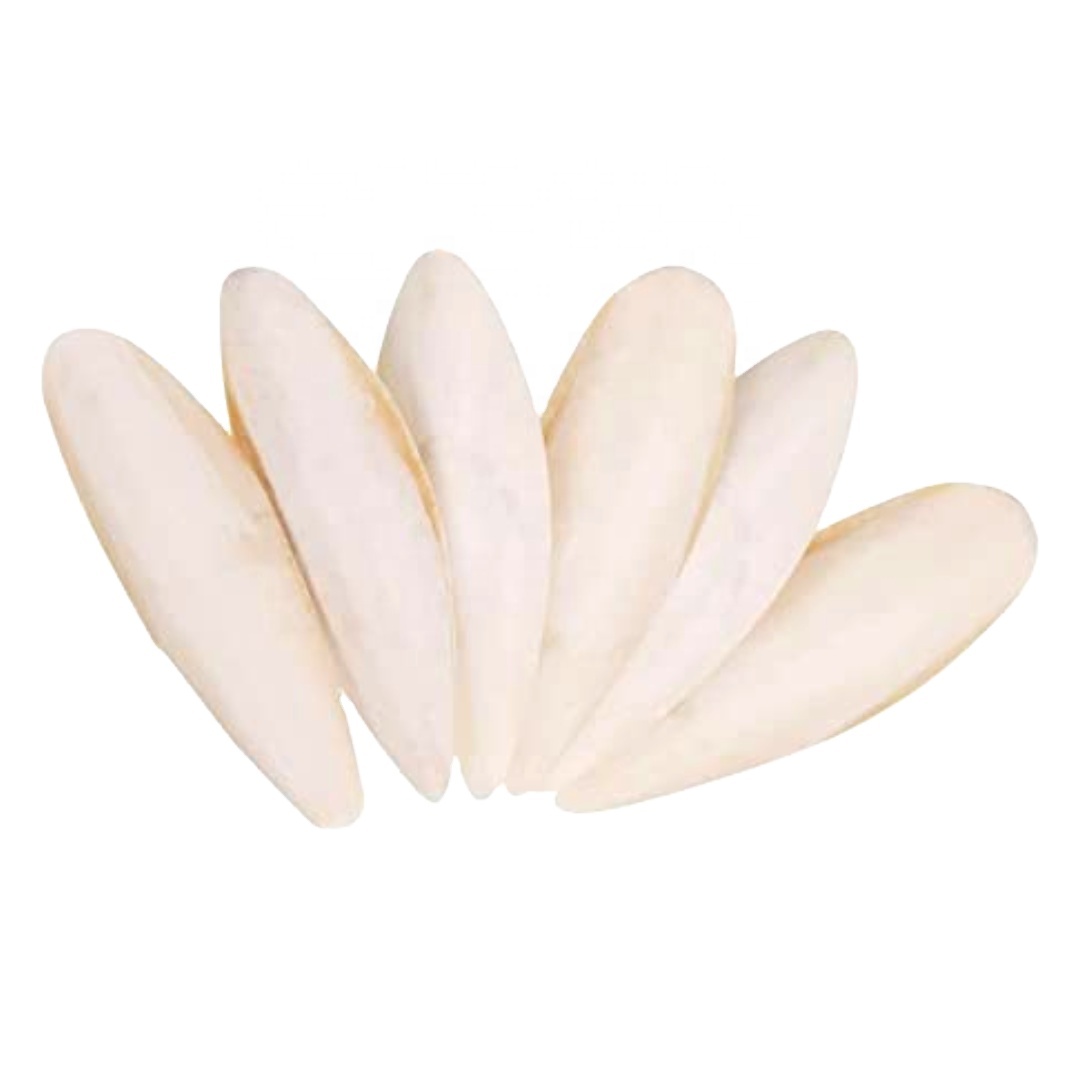High Quality Cuttlefish Bone Cuttlebone 100 Natural Cuttlefish Bone from Vietnam White Body Style Packaging City Color