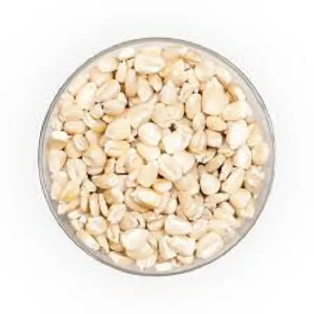 Bulk quantity price for yellow corn yellow maize white corn white maize