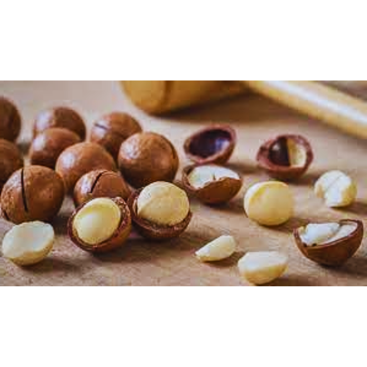 Macadamia Nuts Wholesale Good Quality Natural Ingredients Snacks Green Vina Oem & Odm Service Made In Vietnam Manufacturer
