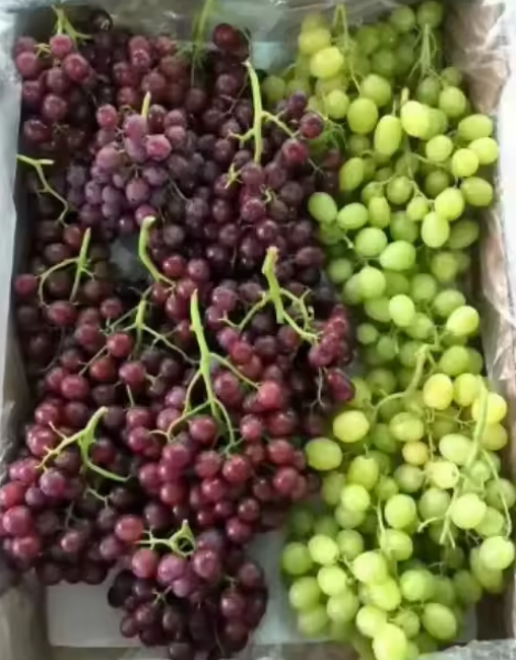 100% Good And Natural fresh fruits crimson fresh grapes sweet seedless grape for sale in cheap price