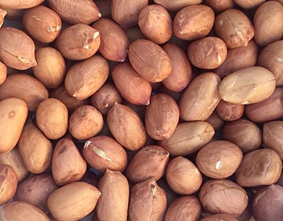 Rich Organic Protein Kernel Raw Peanuts