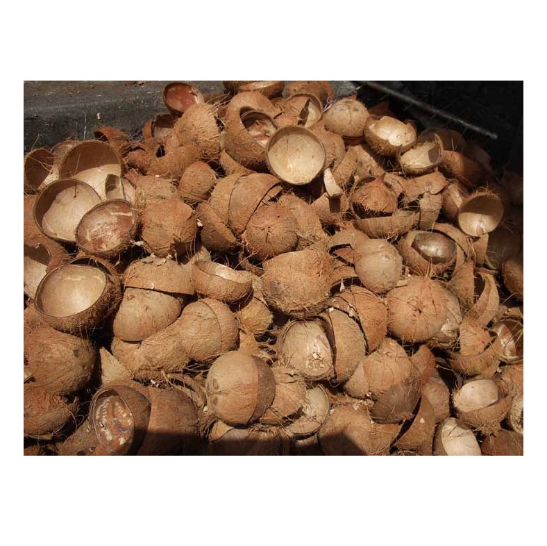 Best Quality Hot Sale Price Raw Coconut Shell Material Agriculture Waste