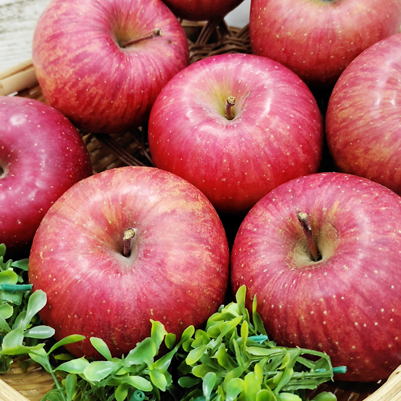 Оптовая продажа вкусная цена красное солнце Фудзи Свежие Яблоки Фрукты