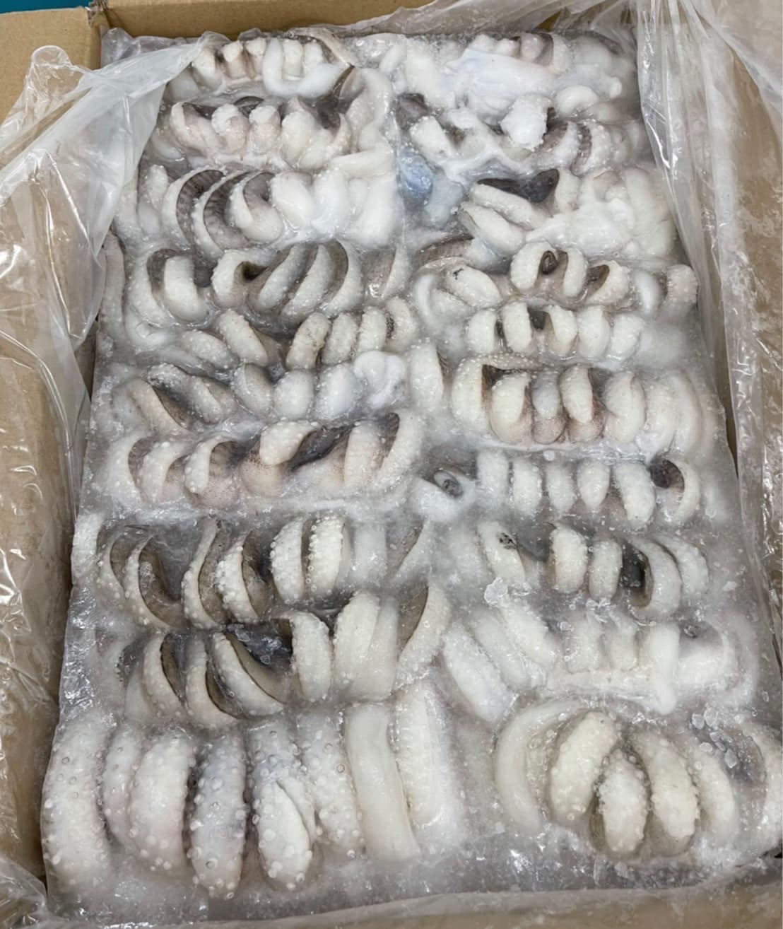 Tentacles замороженный кальмар, один ящик весит 1 кг, вес кальмара 800 г, вес нетто 1000 г, морская еда, замороженные морепродукты, замороженный кальмар