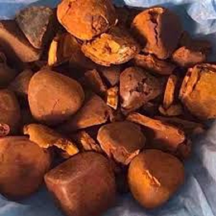 Quality Dried Cow Ox Gallstones / Cattle gallstones