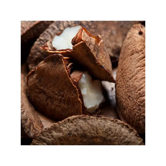raw brazil nuts shelled brazil nuts -100% high quality wholesale 100 pure style packaging for sale