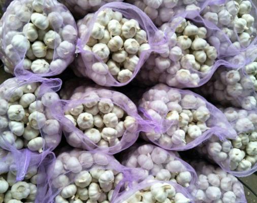 Organic fresh pure white garlic for food and beverage spices and herbs size 20 Kgs natural product export