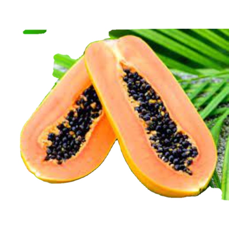 MN GLOBAL IMPEX, онлайн-продажа свежих фруктов pawpaw, экспорт свежих фруктов по морю
