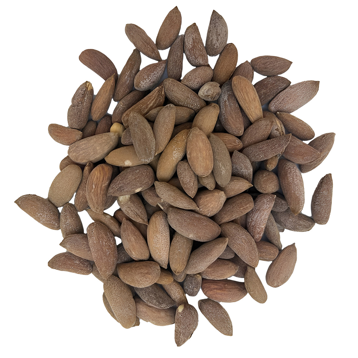 Top quality almonds 100% natural from Uzbekistan wholesale prices almond in bulk